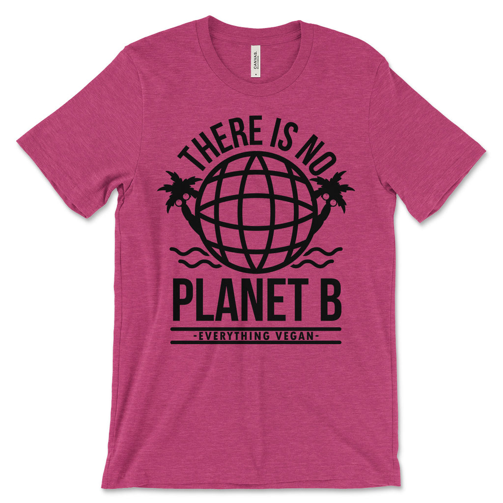 There is No Planet B Shirt